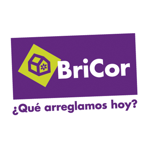 Proyectos Bricor: 